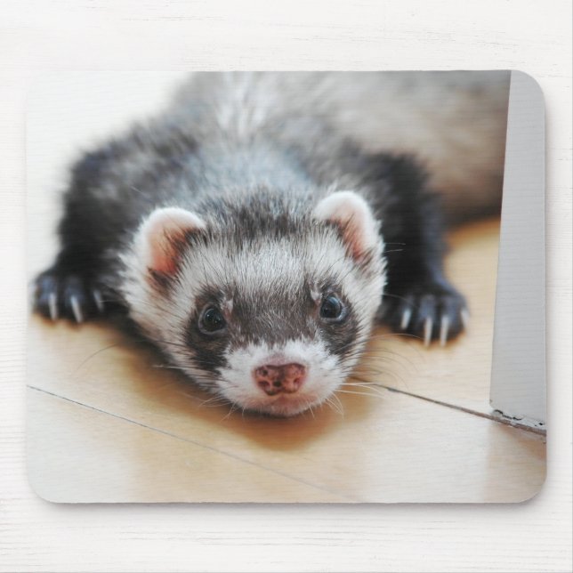 Sable Ferret Mouse Pad (Front)