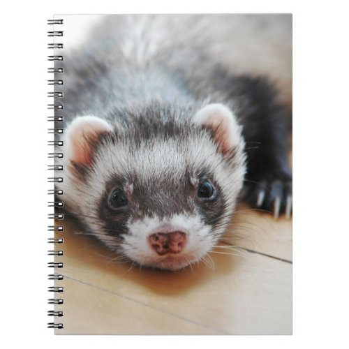 Sable Ferret Notebook