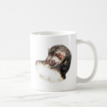 Sable Ferret Picture Coffee Mug by Visages at Zazzle