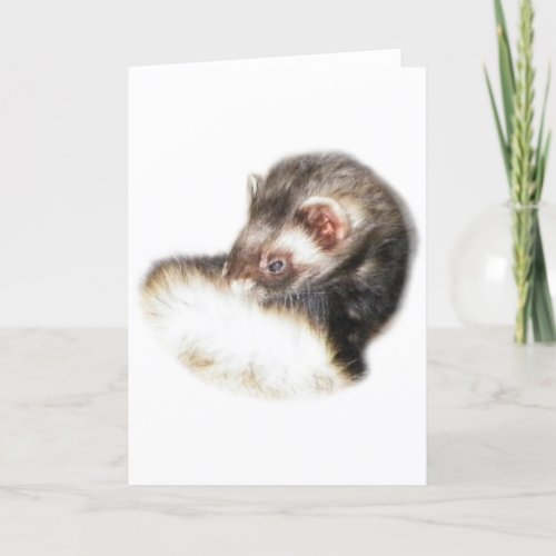 Sable Ferret Picture Holiday Card