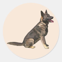 Sable German Shepherd Dog