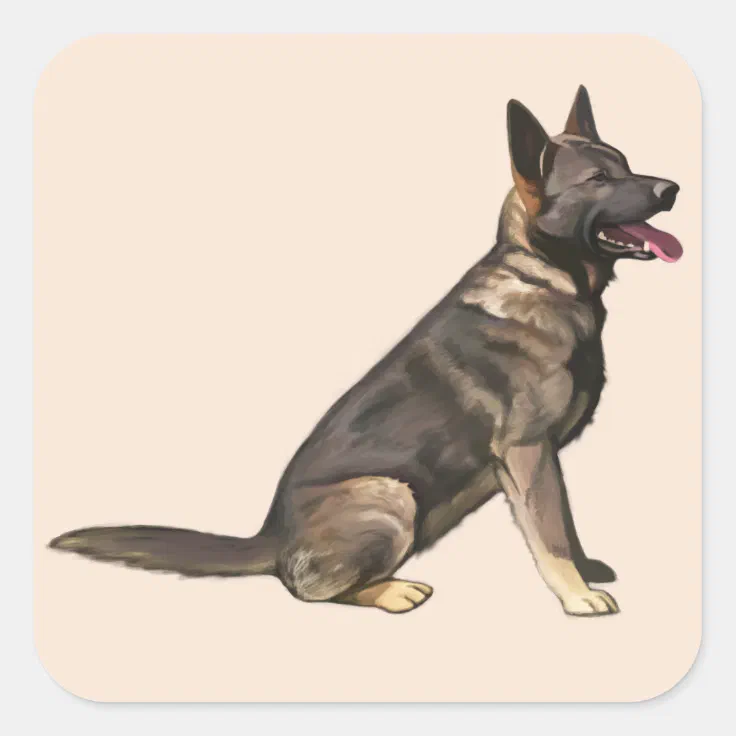 what is a sable german shepherd dog