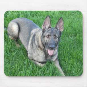 Sable German Shepherd Mouse Pad
