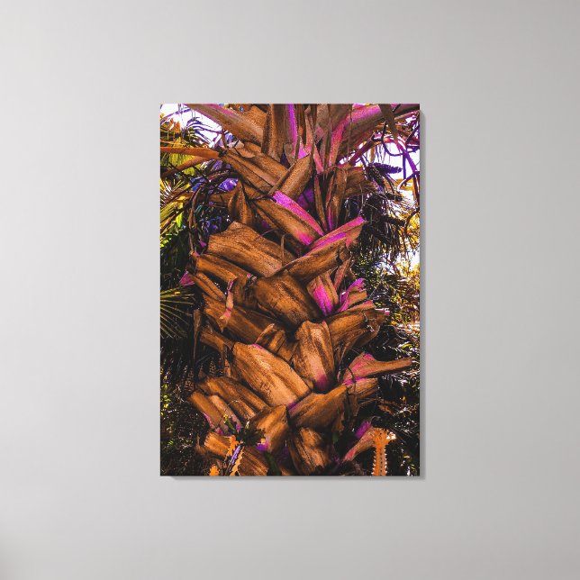 Sable Palm Trunk Canvas Print (Front)