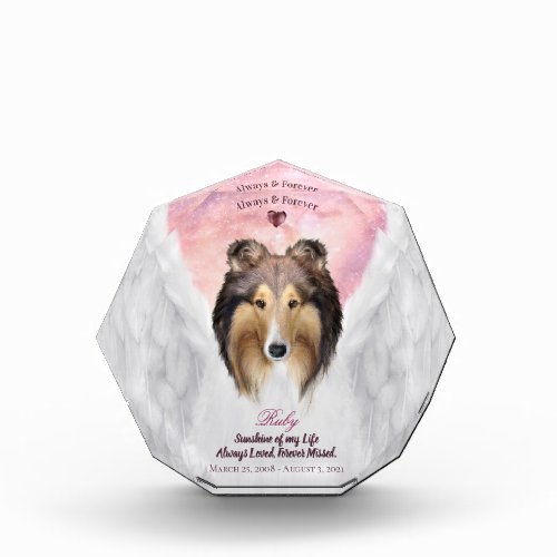 Sable Rough Collie Angel Portrait _ Pet Memorial Photo Block