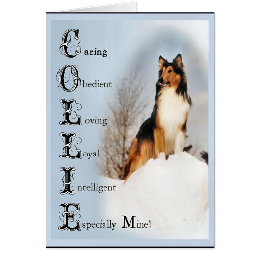 Sable Rough Collie Gifts Cards (Front)