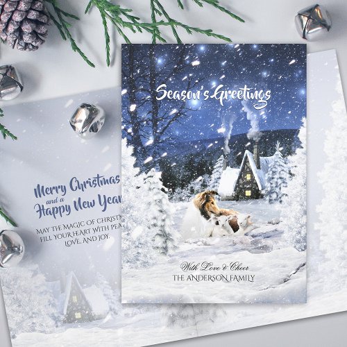 Sable Rough Collie  Lambs Snowy Christmas Night _ Holiday Card