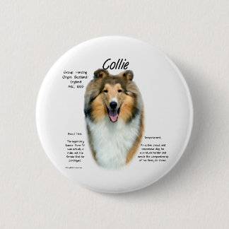 Sable Rough Collie Meet the Breed - Button