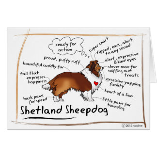 Sable sheltie cards