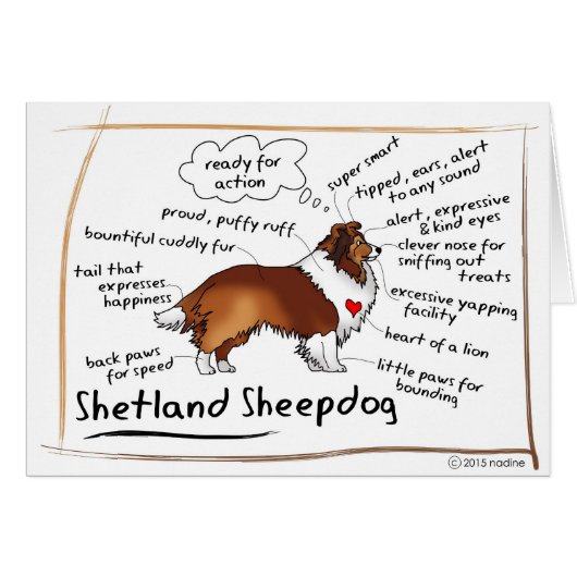 Sable sheltie cards (Front Horizontal)