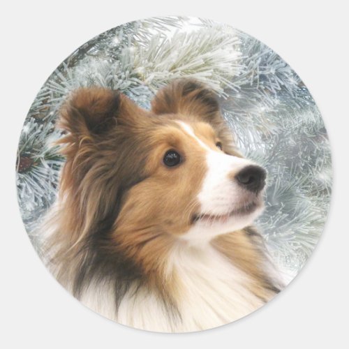 Sable Sheltie Christmas Classic Round Sticker