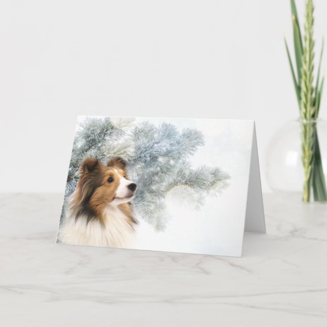 Sable Sheltie Christmas Holiday Card (Front)