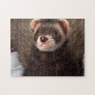 Sable Weasel - Jabba the Ferret Jigsaw Puzzle