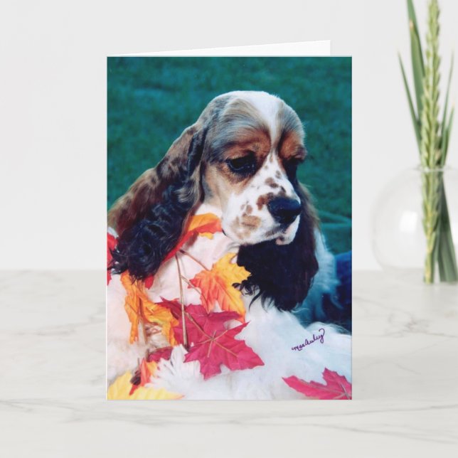 Sable white Cocker Spaniel Card (Front)