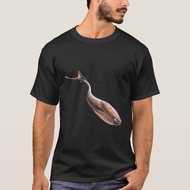Sacabambaspis Funny Fish Memes Cute Ocean Creature T-Shirt (Front)