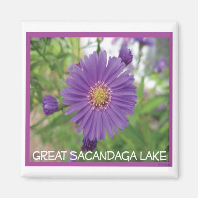Sacandaga Purple Burst Magnet (Front)