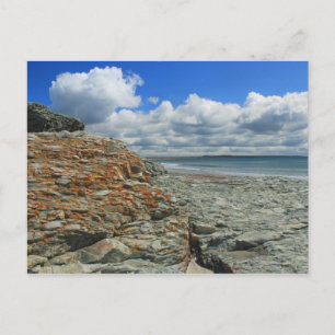 Sachuest Beach Newport Middletown Postcard