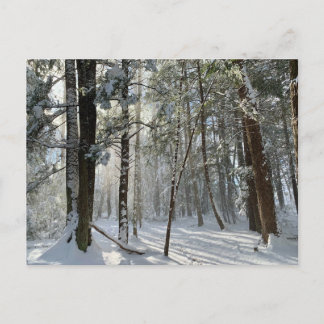 Saco Health Preserve Snow Postcard