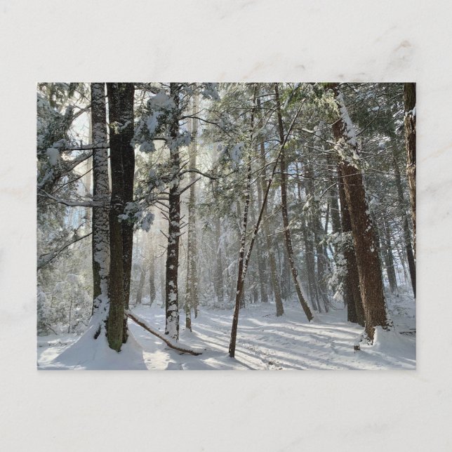 Saco Health Preserve Snow Postcard (Front)