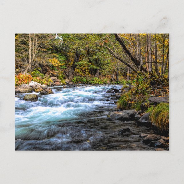 SACRAMENTO RIVER POSTCARD (Front)