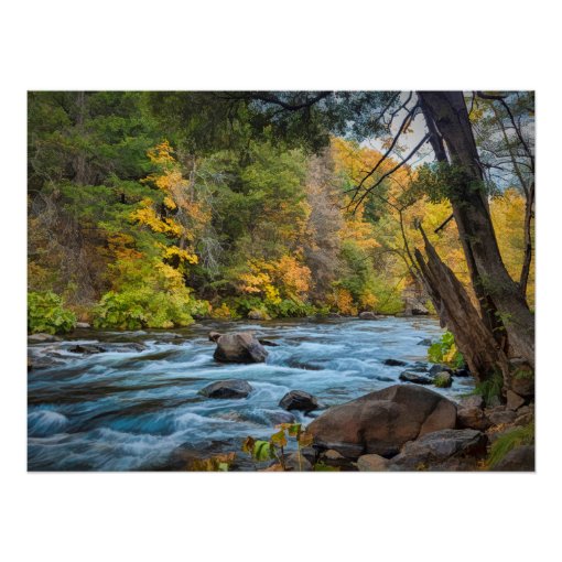 SACRAMENTO RIVER POSTER | Zazzle