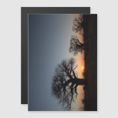 Sacred Baobabs (Front/Back)