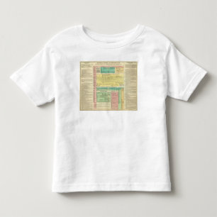 Sacred Biblical History Toddler T-shirt