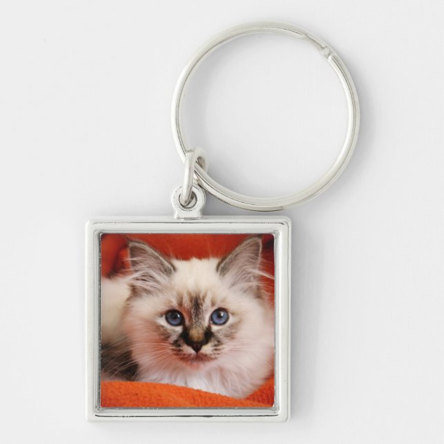 Sacred Birman Kitten Keychain (Front)