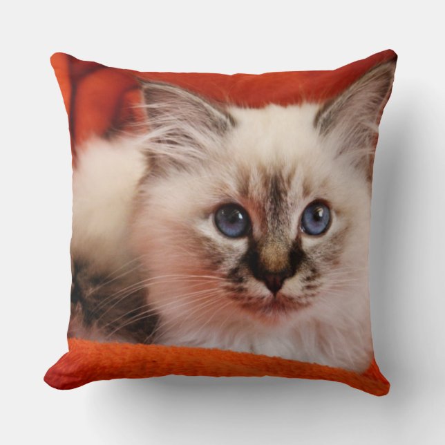 Sacred Birman Kitten Throw Pillow (Front)