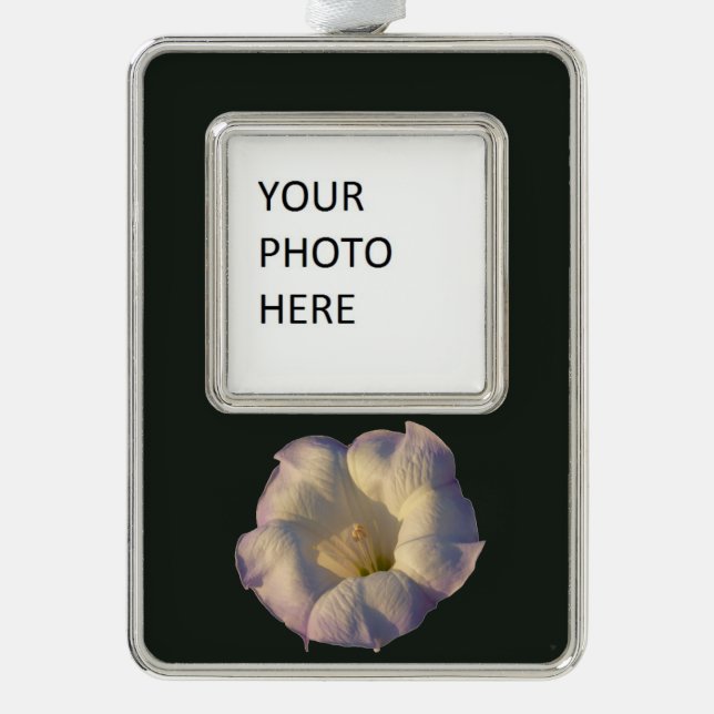 Sacred Datura Flower Desert Wildflower Christmas Ornament (Front)