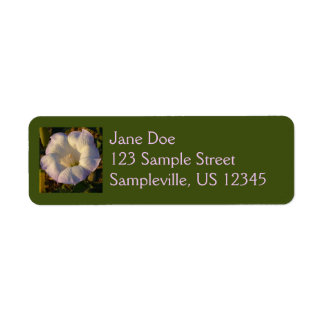 Sacred Datura Flower Desert Wildflower Label