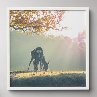 Sacred Deer at Dawn – Nara, Japan Peel And Stick Photo Tile
