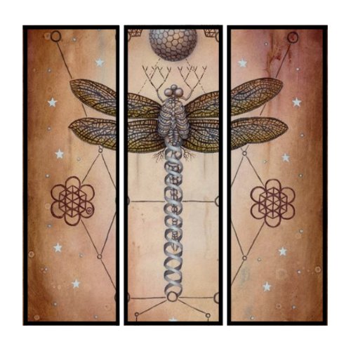 Sacred Dragonfly Triptych Wall Art