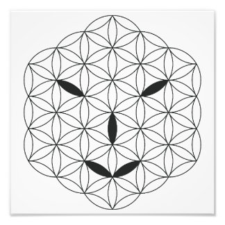 Sacred face - Arcturian 02, Black-Tr. Photo Print