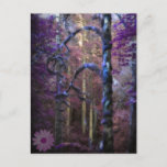 Sacred Forest Postcard at Zazzle