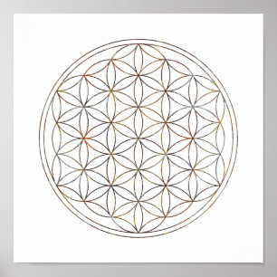 Sacred Geometry Flower Of Life (V-Elements) Poster