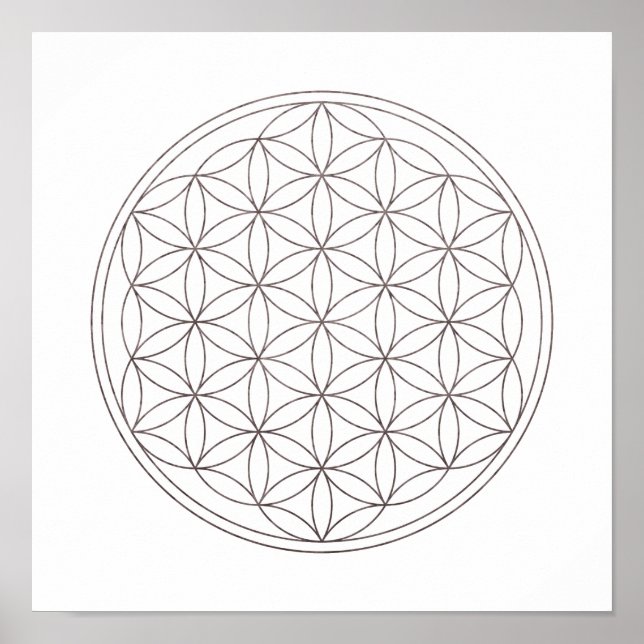 Sacred Geometry Flower Of Life (V-Smoke) Poster (Front)
