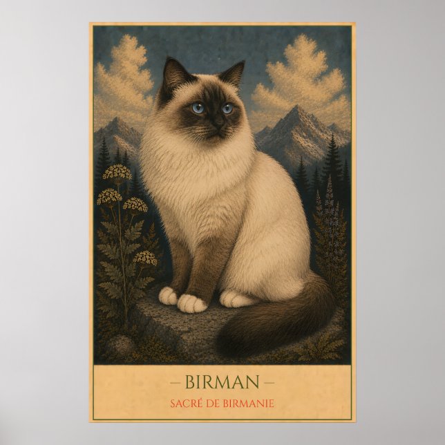 Sacred Grace: Birman Cat Poster (Front)