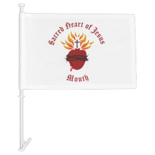 Sacred Heart of Jesus Month of June Car Flag