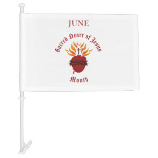 Sacred Heart of Jesus Month of June Car Flag