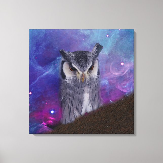Sacred owl and fantasy sky canvas print (Front)