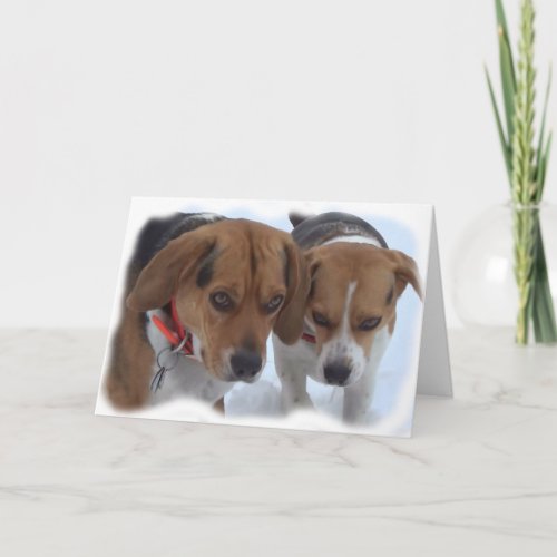 Sad Beagle Dogs Death of Beloved Dog Sympathy Card