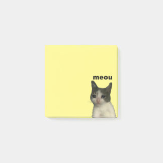 sad boi  post-it notes