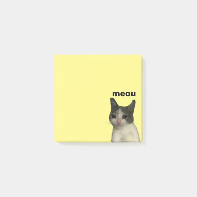 sad boi  post-it notes (Front)