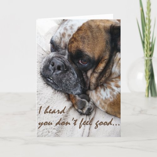 Sad Bulldog Get Well Sympathy Card