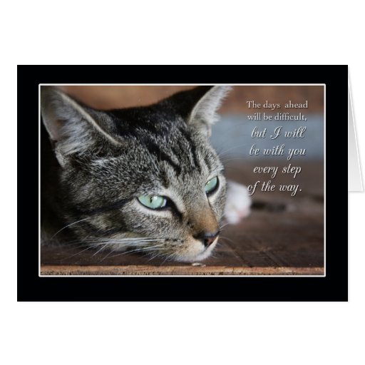 Sad Cat Encouragement Card | Zazzle