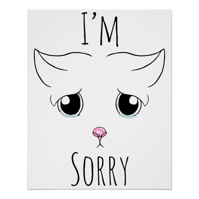 Sad Cat Face: I'm Sorry Poster (Front)