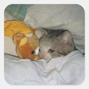 sad cat in bed square sticker