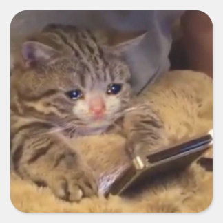sad cat on phone square sticker