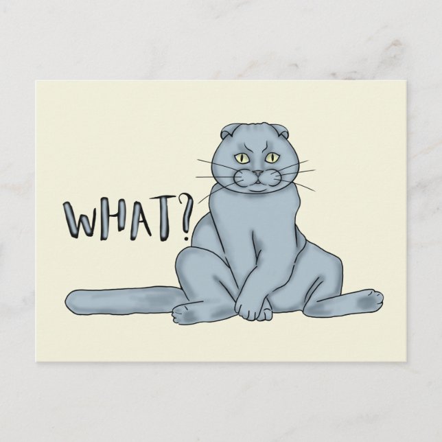 Sad cat - what? postcard (Front)
